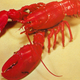 Just a lobster. Photo: Getty